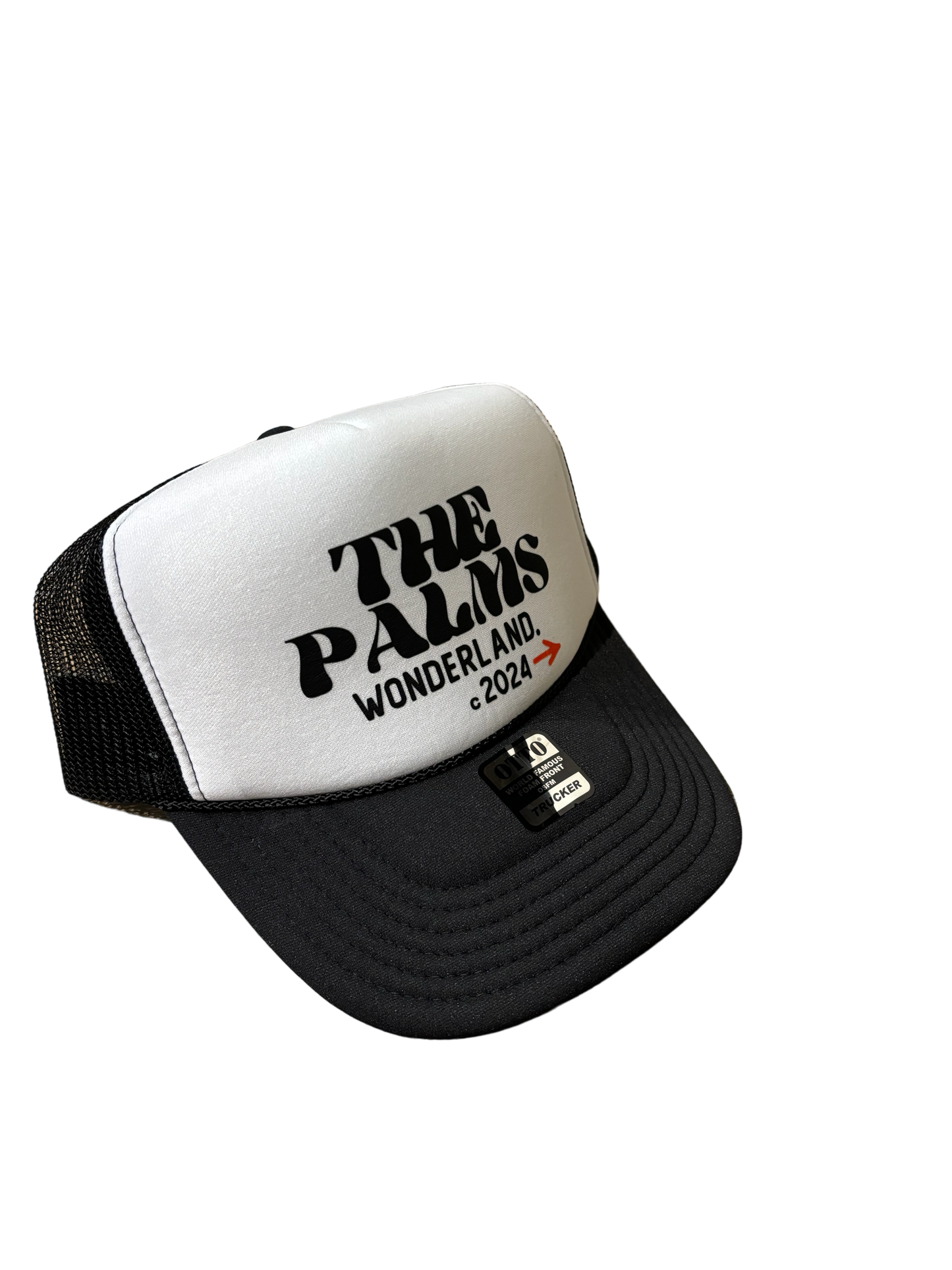 Wonderland ~ Mesh Hat